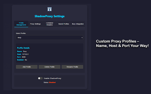 ShadowProxy :: A browser extension to manage proxy settings and integrate with Burp Suite.