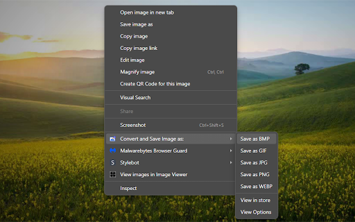 Convert and Save Image as :: Convert and Save Images to different formats directly from your browser.