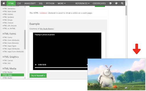 Video Control Extension :: Videoları daha iyi kontrol etmenizi sağlayan bir eklenti.