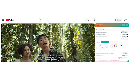 Polili — Pronunciation Everywhere :: Live pinyin + translation on Chinese video subtitles — YouTube, Bilibili & more. Reads burned-in subs with on-screen OCR.