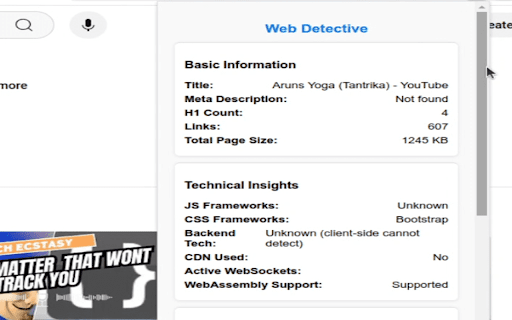 Web Detective :: Analyze a webpage for SEO, security, performance, and more.