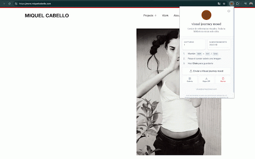 Visual Journey Mood - Save Images Pro :: Organiza y guarda referencias visuales de cualquier web. Crea tu biblioteca local de inspiración con un solo click.