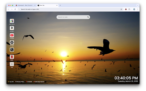 Sunset and Migratory Seagulls Live Wallpaper :: Relax with Sunset & Seagulls Live Wallpaper – a stunning Chrome extension featuring a peaceful animated sunset with soaring seagulls
