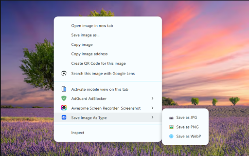 Save Image As Type :: Right-click any image to instantly save it as JPG, PNG, or WebP. Fast, local, and privacy-friendly.