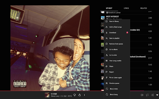YTM Block :: Block artists on YouTube Music to automatically skip their tracks.