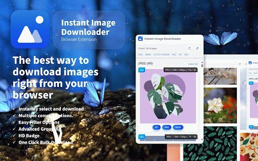 Instant Image Downloader :: Easily select and download images from any webpage in various formats, with filtering, grouping, and bulk download options.
