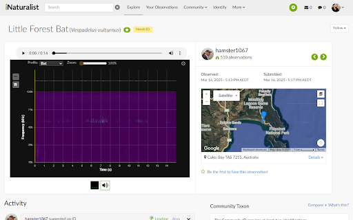 iNatSpectro :: The missing Spectrogram for iNaturalist - Displays a spectrogram for audio on iNaturalist observation pages using the Web Audio API.