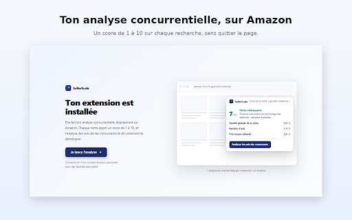 SellerScale :: Le score d'une niche Amazon en un coup d'œil, et ce que les acheteurs reprochent aux vendeurs en place.
