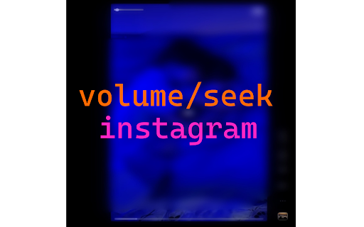 Instagram Reels/Videos Controls :: Take full control of Instagram Reels/Videos with precise volume and seek controls...