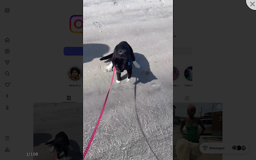 Image Viewer :: More than the default image viewer