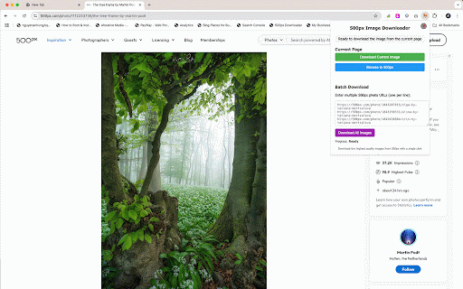 500px Image Downloader :: Easily download high-resolution images from 500px
