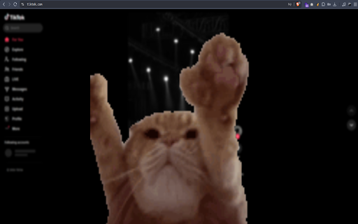 CatBlock :: Stay focused. Get distracted by a cat instead.
