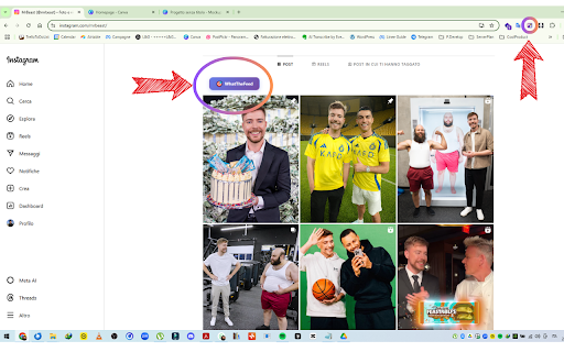 WhatTheFeed | Instagram Content Analyzer, Sorter & Exporter :: Ordina e analizza i post e reels di Instagram per visualizzazioni, like o commenti