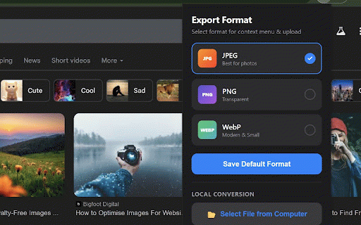 Smart Image Downloader :: Direct click to convert and download images as JPG, PNG, or WebP. Compress and resize images.