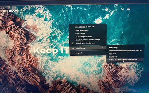 Tab History in Context Menu :: Switch to the tabs from any tab by just a right click