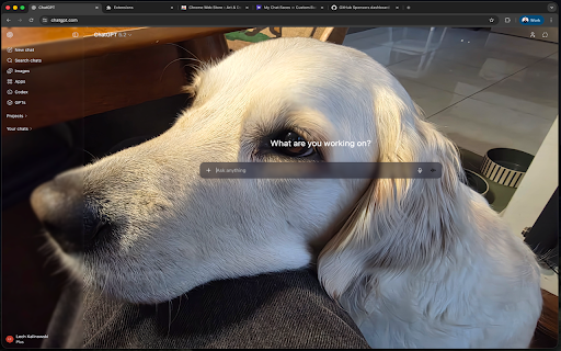 My Chat Faces :: Readable AI chats with guarded contrast, accessible text sizing, backgrounds, colors, opacity, and brightness controls.
