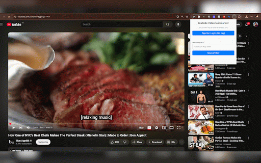 YouTube Video Summarizer :: Get a high-quality summary of the current YouTube video emailed to you.