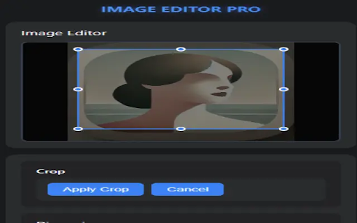 Image Resizer Pro :: A powerful browser extension for resizing, cropping, and converting images