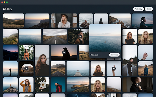 X Media Gallery — Download Photos & Videos :: Browse your X (Twitter) timeline as a media gallery and download photos and videos — videos save with sound.