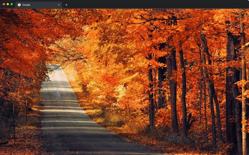 Autumn Wallpapers New Tab - Fall Season Backgrounds :: Autumn wallpapers for new tab. Fall foliage, cozy season & nature backgrounds