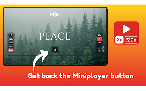 YouTube Miniplayer - Quick YT Controls :: Add custom buttons to YouTube player. Add custom YouTube player controls.