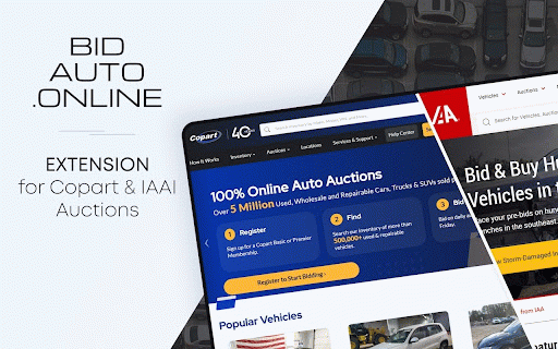 BIDAUTO-Live :: BIDAUTO-Live tools for Copart and IAAI autoauctions