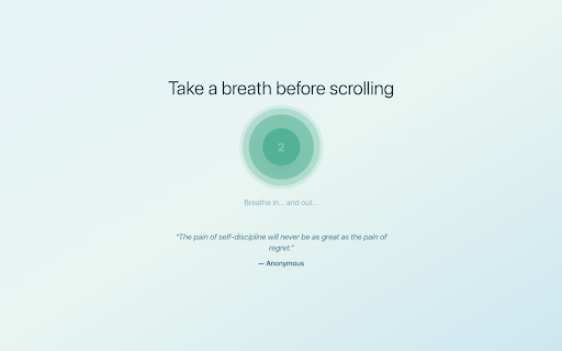 Break the Loop - Browser Extension :: Break your scrolling loops with mindful pauses.