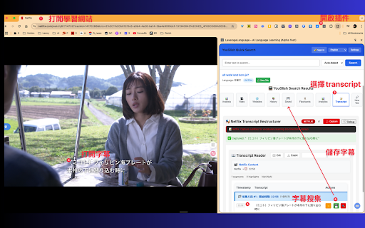 LeverageLanguage - AI Learning Assistant :: AI language learning with pronunciation, grammar analysis & subtitle capture for YouTube, Netflix, Udemy, Coursera