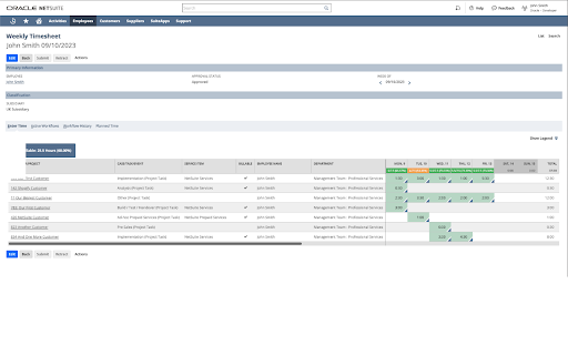 NetSuite Utilisation Tracker :: Adds utilisation percentages to timesheets.
