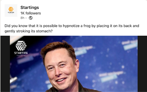 No more Musk :: Hides digital noise related to Elon Musk.