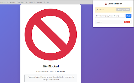 Domain Blocker :: Block specific domains with a custom message