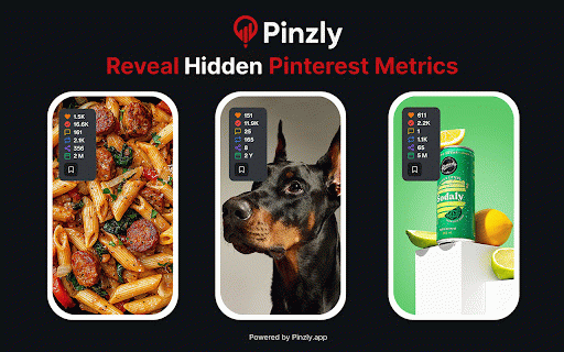 Pinterest Analytics & Tools - Pinzly :: Professional Pinterest analytics tool for Chrome—unlock hidden metrics, analyze pins, track trends, and improve performance.