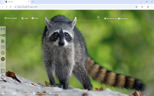 Raccoon Wallpaper :: Raccoon Wallpaper turn new tab to custom HD Raccoon background. Cute Raccoon wallpaper background theme for animal fans.