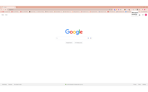Enterprise Extension :: An enterprise Chrome extension with managed settings and dynamic configuration