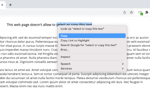 Don't Touch My Selection :: Prevents the anti-selection scripts from web pages.