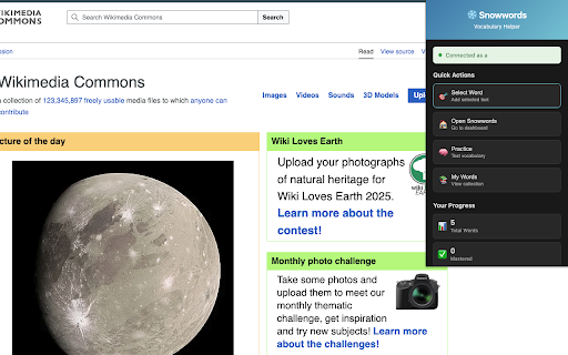 Snowwords Vocabulary Helper :: Add and learn English words from any page with Snowwords.