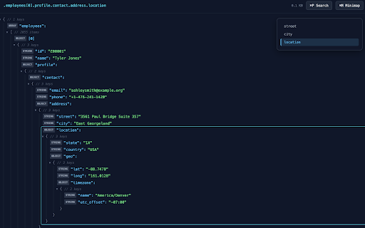 JSON Master :: Lightweight JSON viewer with jq-style path navigation and search