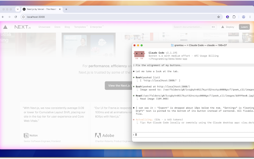 peek-cli :: Connect visual agents with your browser.