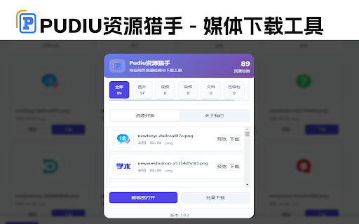 Pudiu资源猎手 - 媒体下载工具 :: 检测并下载网页中的图片、音乐、视频和文档资源