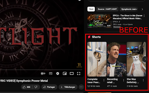 Youtube Shorts Blocker :: Removes the shorts from Youtube