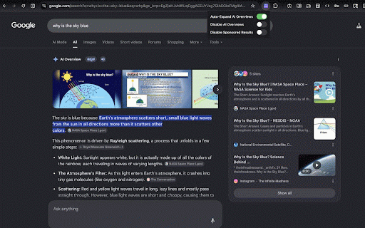 AI Overview Blocker for Google – Hide AI & Sponsored Ads :: Hide, block or auto-expand Google AI Overviews + remove Sponsored results. One-click, private, no tracking.