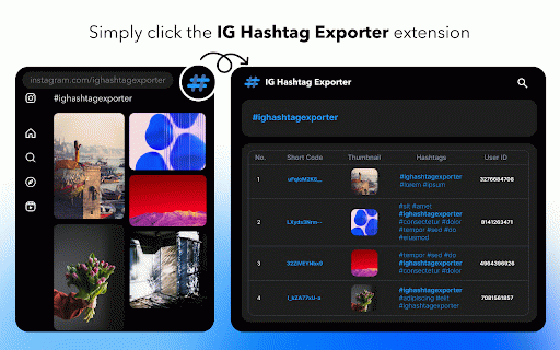 IG Hashtag Exporter - Free :: Export Instagram Hashtag Posts for Free