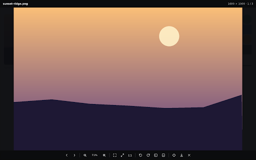 Image Viewer Pro :: Click any image to zoom, rotate, flip and pan it. Works offline, collects no data.