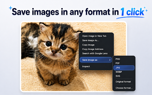 Save Image As Type – PNG, JPG, WebP, PDF & SVG :: Convert and download web images as PNG, JPG, WebP, PDF or SVG directly from the right-click menu. Fast, private and local.