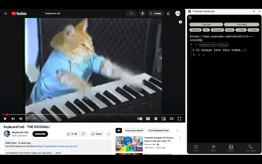 BrainSpace Bookmark :: Save your notes and bookmarks together.