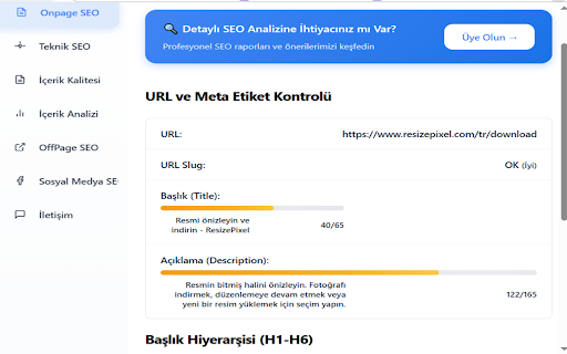 Workexe SEO Checker Lite :: Web sayfalarının SEO uyumluluğunu analiz eder