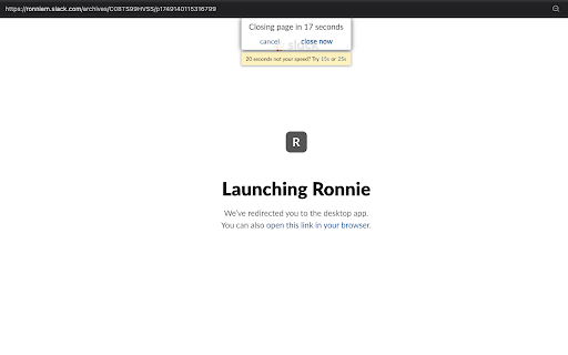 Redirect Page Auto Closer for Slack :: Automatically closes Slack redirect pages and restores focus to the tab you were on before.
