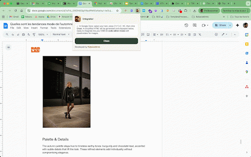 Integrator :: Clean, simplify HTML copied from Google Docs. Quickly convert text into SEO-friendly & CMS-ready markup with placeholders for images