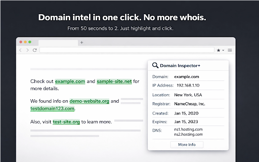 Domain Inspector Plus :: Instant whois checker for owner lookup. Get registration dates, IP, DNS, and registrar information instantly.