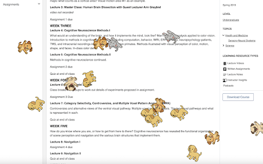 Puppy Rain :: Press Shift + CMD + p to make puppies rain on any page!